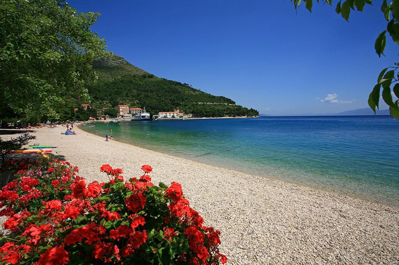 Apartments On The Beach-Drvenik Zewnętrze zdjęcie